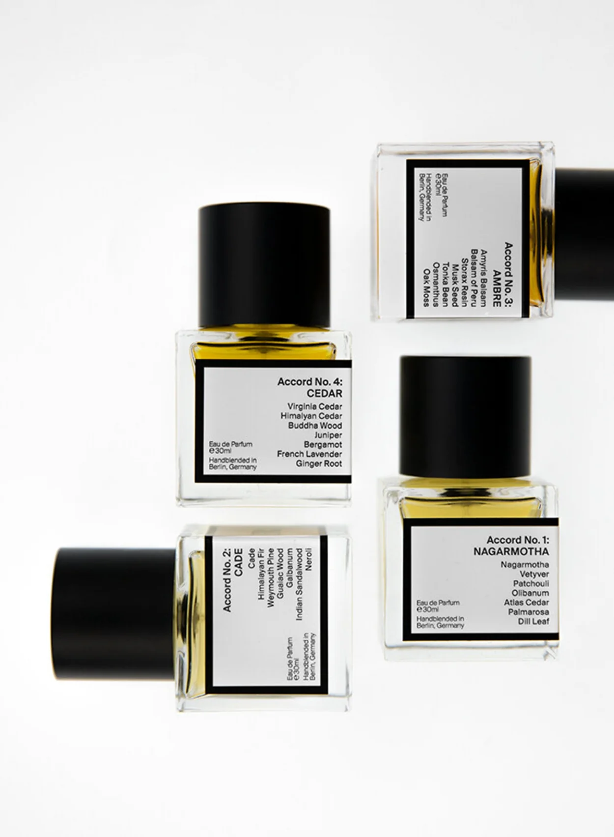 04, Cedar + Ginger - RAER - Image 3