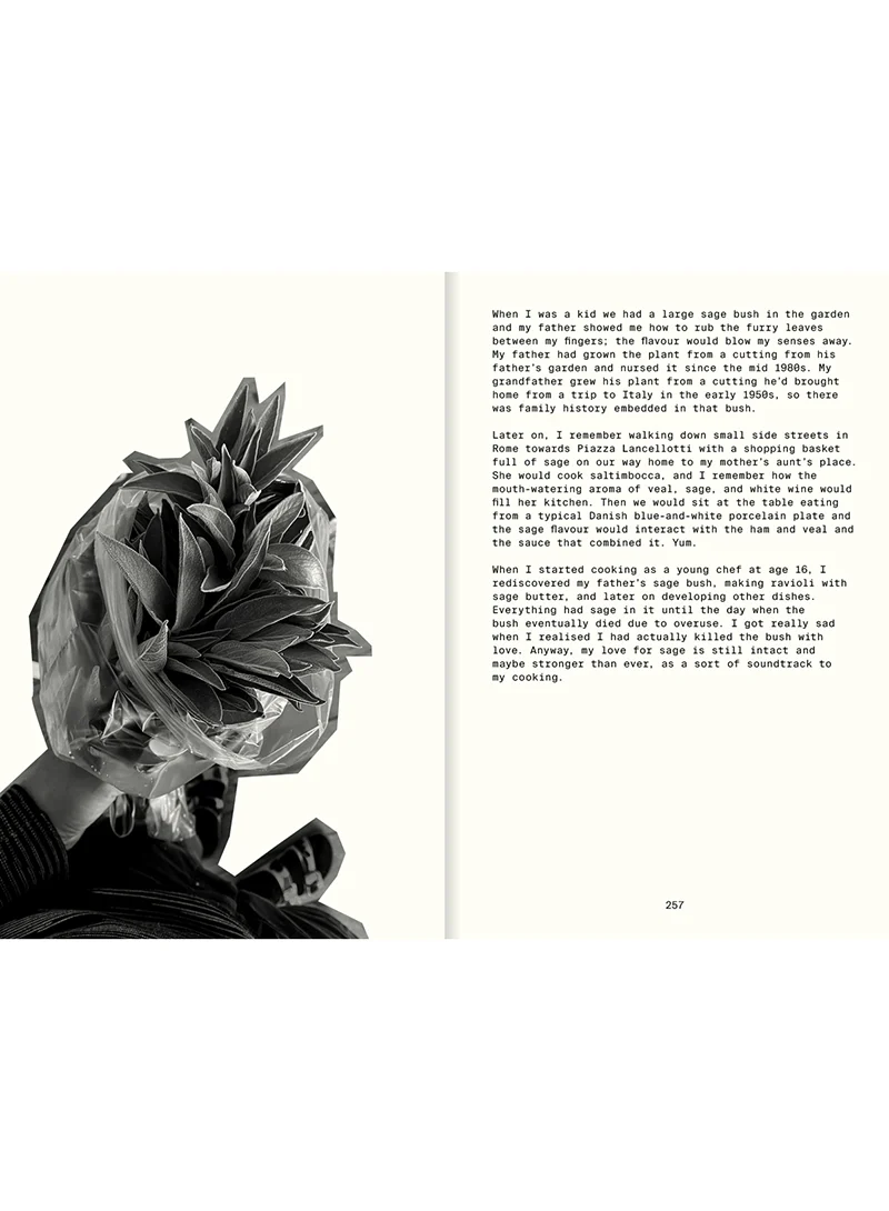 All the Stuff We Cooked, Frederik Bille Brahe - Apartamento - Image 4