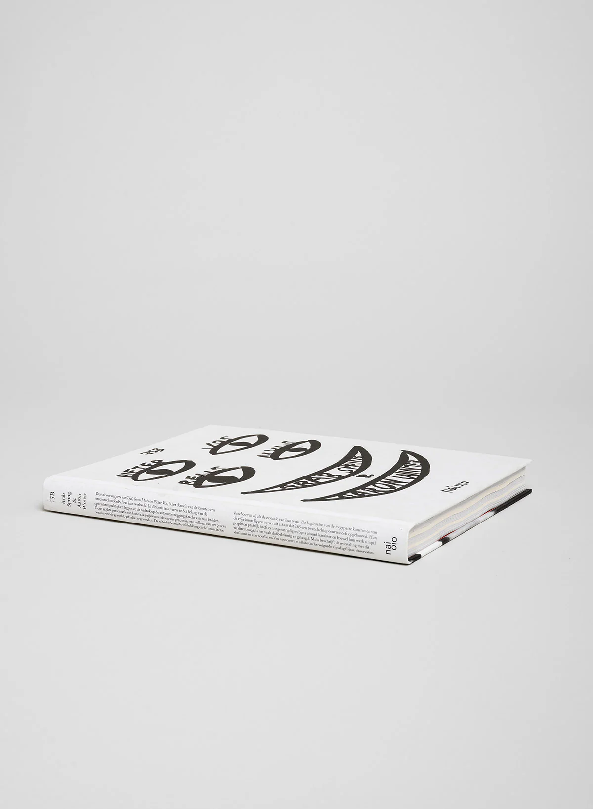 Arab spring & Aaron Winter - 75B - Image 3