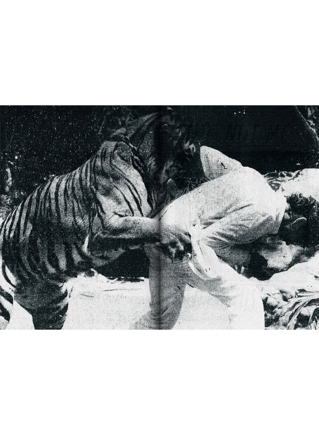 I’ll fight you forever - Isa Grütter & Mick Johan - Image 12