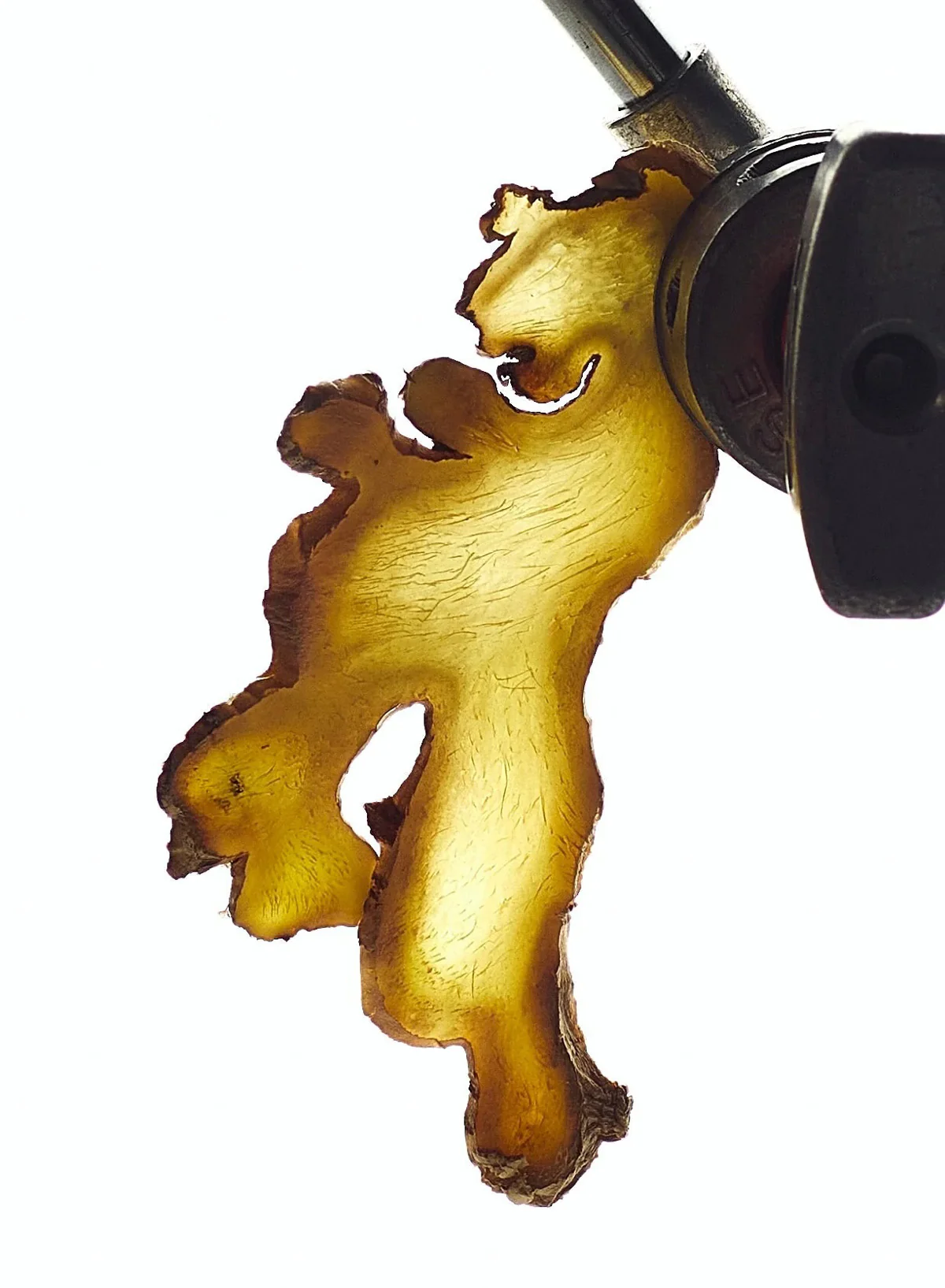 Nurture, 6ml - Abel - Image 3