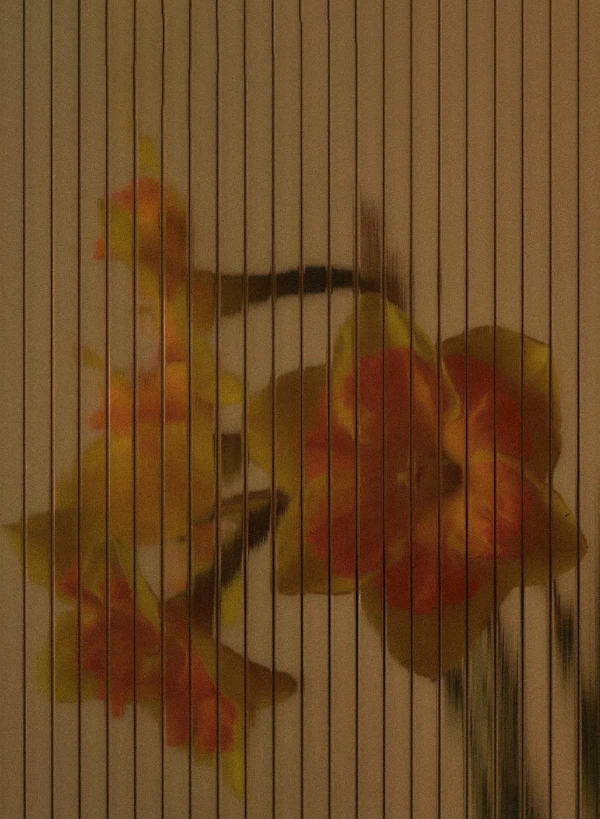Pause, 6ml - Abel - Image 2